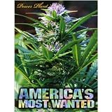 (20x27) America's Most Wanted Pot Marijuana 1000 Piece Jigsaw Puzzle