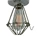 60 Watt Cage Filament Ceiling Light with Bulb and Trouble Cage