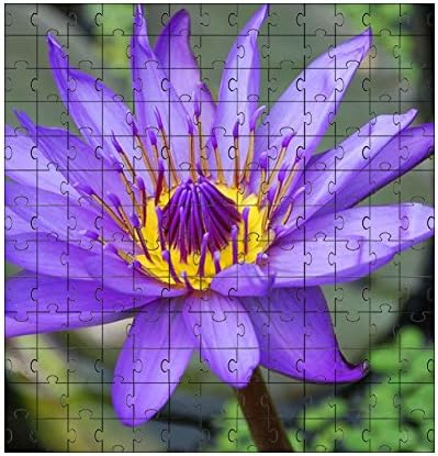 Tulip Flower Puzzle 30*30CM 169-Piece