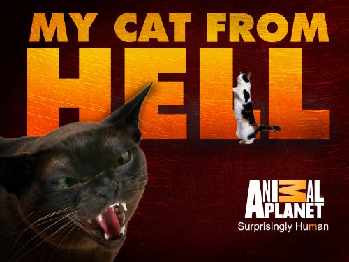 My Cat from Hell - Season One movie