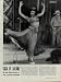 YVONNE DE CARLO stars in "SALOME, WHERE SHE DANCED," SAGA OF SALOME, She dances almost everywhere in a lavish, implausible extravaganza. Yvonne De Carlo (September 1, 1922  January 8, 2007) was a Canadian-born American film and television actress, dancer and singer. In her six-decade career, her most prolific appearances in film came in the 1940s and 1950s and included her best-known film roles, such as Salome Where She Danced and The Ten Commandments, opposite Charlton Heston. In the 1960s, she gained a whole new generation of fans, playing "Lily Munster" on CBS television series The Munsters, opposite Fred Gwynne. ..... 1945 LIFE Magazine Article, A5148A.