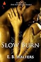 Slow Burn
