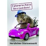 kurze geburtstagssprüche mutter