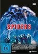 Spiders