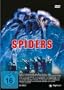 Spiders