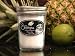Soy Simplicities - Caribbean Cruise Soy Wax Candle - in an 8 Ounce jelly Jar