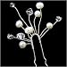 Simple Pearl and Crystal Silver Bridal Hair Pins (Pack of 2)