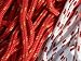 Close-Up of Colorful Ropes Used for Sailboat Rigging Photographic Poster Print, 12x16