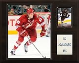 NHL Ed Jovanowski Phoenix Coyotes Player Plaque