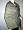 Olive Green Paisely Pashmina Shawl,wrap Throw Reversible Free Shipping Image #2