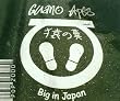 Big in Japan