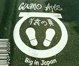 Big in Japan