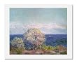 Claude Monet, Cap d'Antibes, Mistral