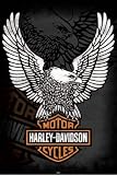 1art1 48797 Harley Davidson - Logo, Adler Poster 91 x 61 cm