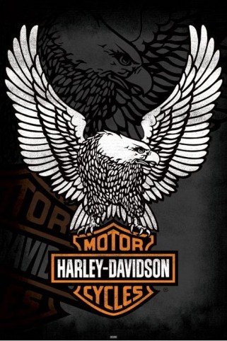 1art1 48797 Harley Davidson - Logo, Adler Poster 91 x 61 cm