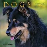 Mini Calendars