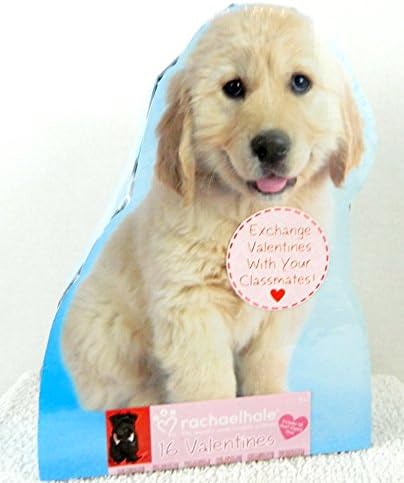 Rachel Hale Puppies and Kitties 16 Valentine Cards 48 Heart Seals and Keepsake Puppy Box