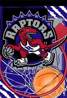 NBA Vertical Toronto Raptors Flag / Banner
