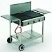 Landmann Profi Gasgrill Braeter 12215