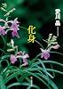 化身 (創元推理文庫)