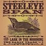 Anthology ~ Steeleye Span
