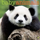 Baby Animals 2011 Mini Calendar