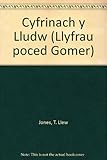 Cyfrinach y lludw : nofel ddatgelu
