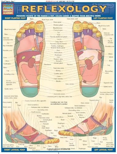 Reflexology (Quick Study Academic Outline)