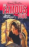 Five Fall into Adventure