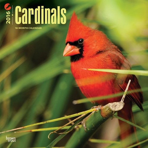 Cardinals 2016 Square 12x12 (Multilingual Edition)
