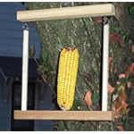 Flying Trapeze Squirrel Feeder