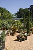 IMAGE OF Wallmonkeys Peel and Stick Wall Decals - Summer Garden - 48