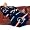 Denver Broncos