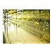 Breathtaking Landscape Note Card Pack / 36 Nature All Occasion Greeting Cards With White Envelopes Set / 6 Colorful Outdoor Scenery Designs / 3 1/2