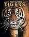 Tigers: Amazing Pictures & Fun Facts on Animals in Nature (Our Amazing World Series)
