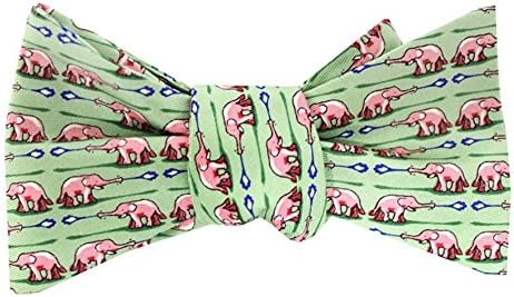 Bird Dog Bay Elephant Bath Self Tie Bow Tie (Mint)