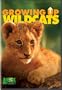 Growing Up Wild Cats