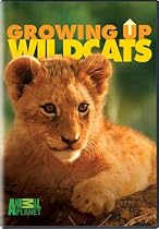 Watch Growing Up Wild Cats Online.