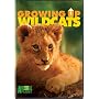 Growing Up Wild Cats
