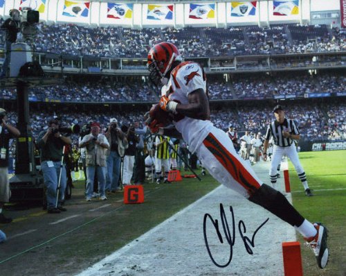 Mounted Memories Cincinnati Bengals Chad Johnson Autographed 8X10 Photo