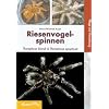 Riesenvogelspinnen: Theraphosa blondi & Theraphosa apophysis. Pflege und Vermehrung