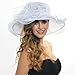 Women Voile Fascinator Church Formal Party Hat W042