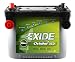 Exide Orbital 34XCD Sealed Maintenance-Free (AGM) Deep-Cycle Automotive Battery