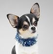 Aria Beaded Poppy Scrunchy - Dog Collar - Dog Necklace - Medium