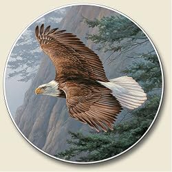 Soaring Eagle Auto Coaster - Single Coaster for Your Car