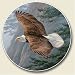 Soaring Eagle Auto Coaster - Single Coaster for Your Car