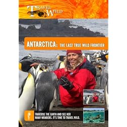 Travel Wild Antarctica The Last True Wild Frontier