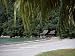 Beach at the Pan Pacific Hotel, Pangkor Island, Malaysia, Southeast Asia Photographic Poster Print by John (Photographer) Miller, 12x16