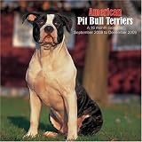 American Pit Bull Terriers 2009 Wall Calendar