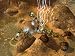 Titan Quest - Gold Edition (DVD-ROM) - ...